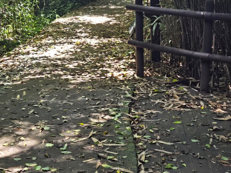 지리산국립공원 산애삶애봉사단
