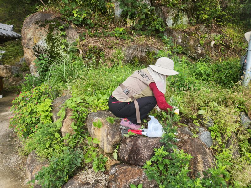 지리산 경남 중산리 활동 
