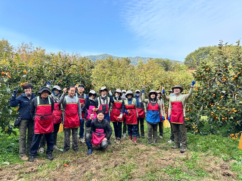 《지리산경남》 산청 - 지역주민 일손 돕기